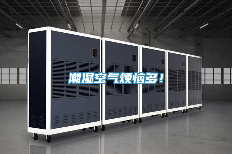 潮濕空氣煩惱多！