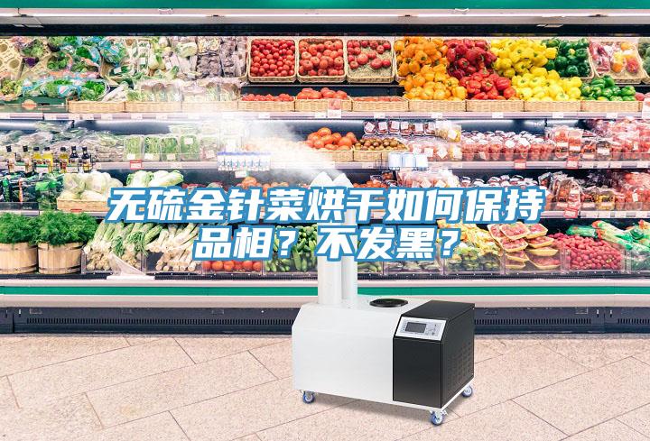 無(wú)硫金針菜烘干如何保持品相？不發(fā)黑？