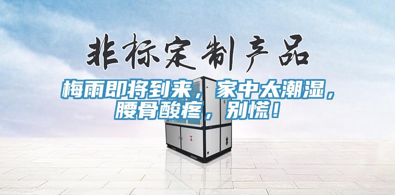 梅雨即將到來，家中太潮濕，腰骨酸疼，別慌！