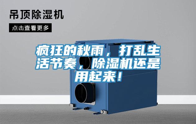 瘋狂的秋雨，打亂生活節(jié)奏，除濕機還是用起來！