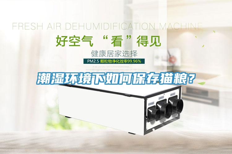 潮濕環(huán)境下如何保存貓糧？