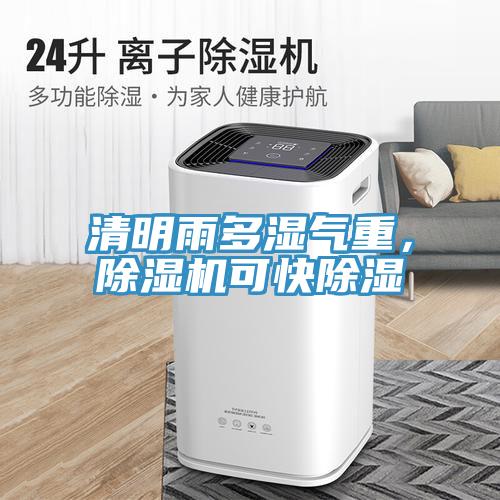 清明雨多濕氣重，除濕機可快除濕