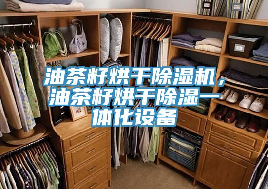 油茶籽烘干除濕機，油茶籽烘干除濕一體化設備