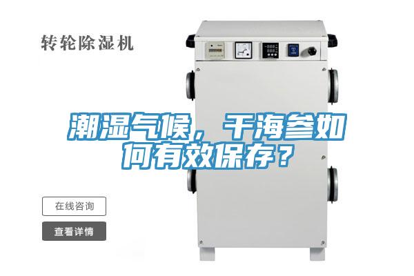 潮濕氣候，干海參如何有效保存？