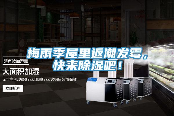 梅雨季屋里返潮發(fā)霉，快來除濕吧！