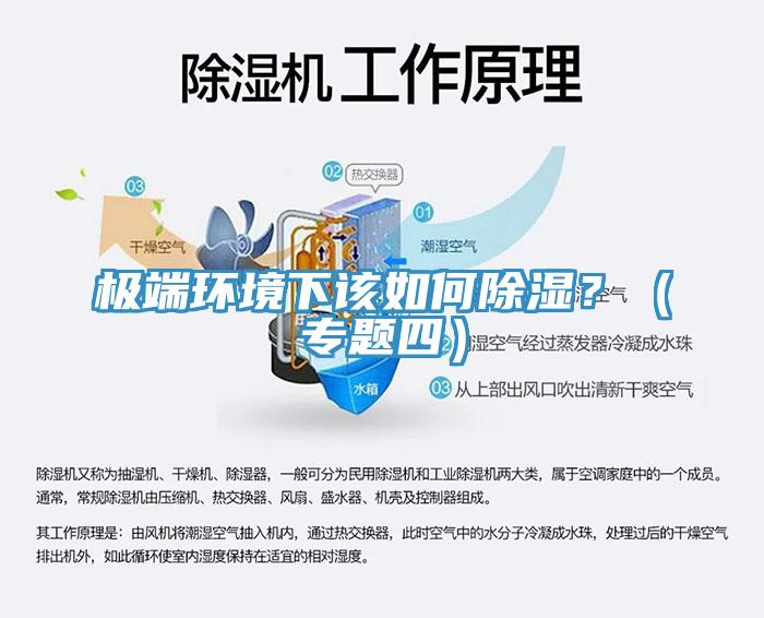 極端環(huán)境下該如何除濕？（專題四）