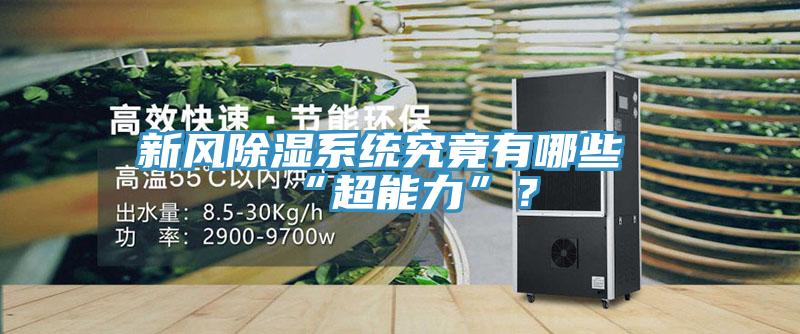 新風(fēng)除濕系統(tǒng)究竟有哪些“超能力”？