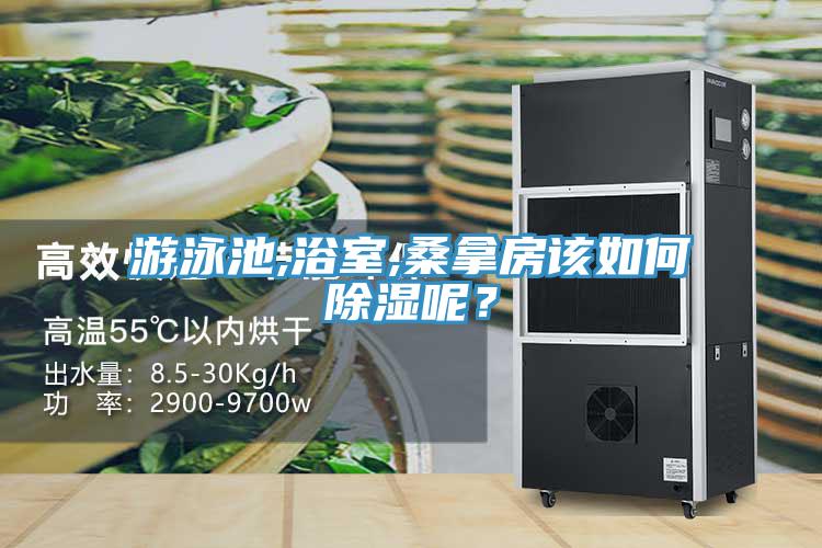 游泳池,浴室,桑拿房該如何除濕呢？