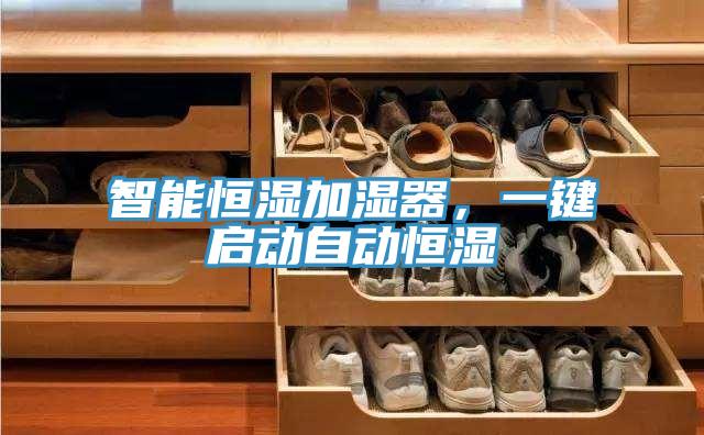 智能恒濕加濕器，一鍵啟動自動恒濕