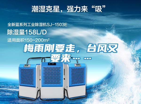 梅雨剛要走，臺風(fēng)又要來……