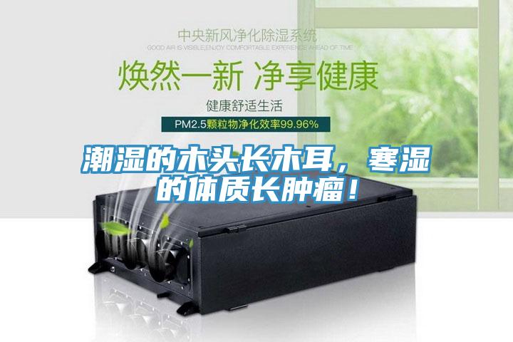 潮濕的木頭長木耳，寒濕的體質(zhì)長腫瘤！
