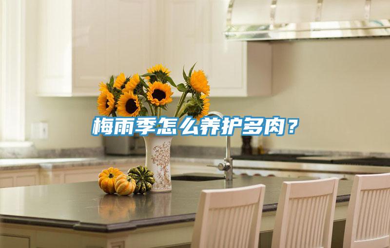 梅雨季怎么養(yǎng)護多肉？