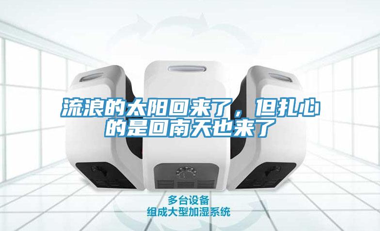 流浪的太陽回來了，但扎心的是回南天也來了
