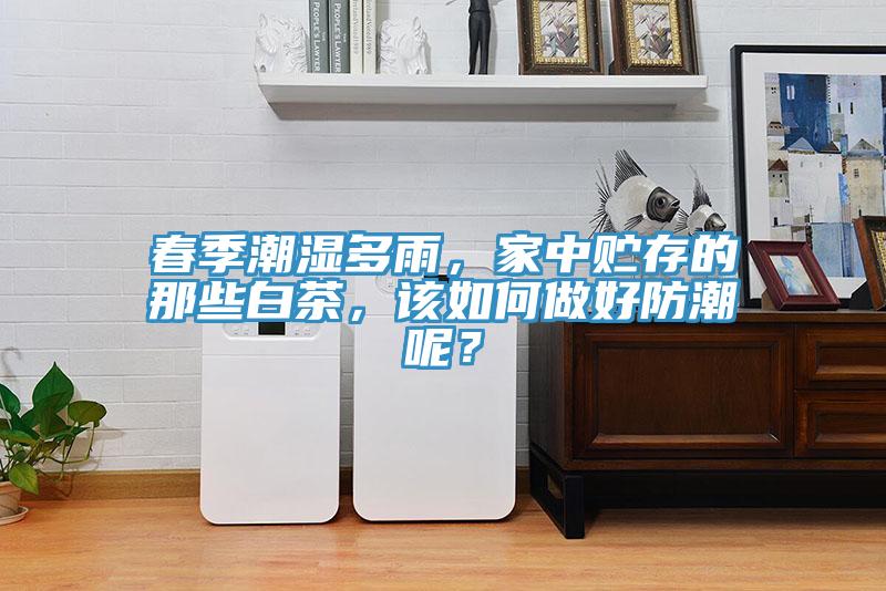 春季潮濕多雨，家中貯存的那些白茶，該如何做好防潮呢？