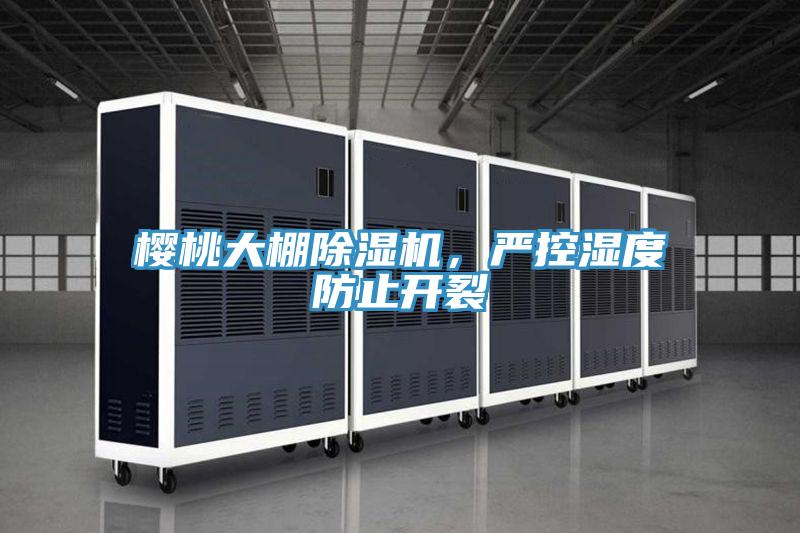 櫻桃大棚除濕機(jī)，嚴(yán)控濕度防止開裂