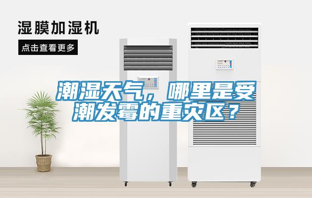潮濕天氣，哪里是受潮發(fā)霉的重災(zāi)區(qū)？