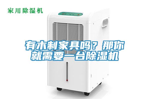 有木制家具嗎？那你就需要一臺除濕機