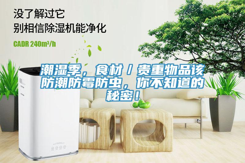 潮濕季，食材／貴重物品該防潮防霉防蟲(chóng)，你不知道的秘密！