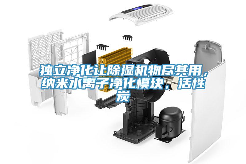 獨立凈化讓除濕機物盡其用，納米水離子凈化模塊，活性炭
