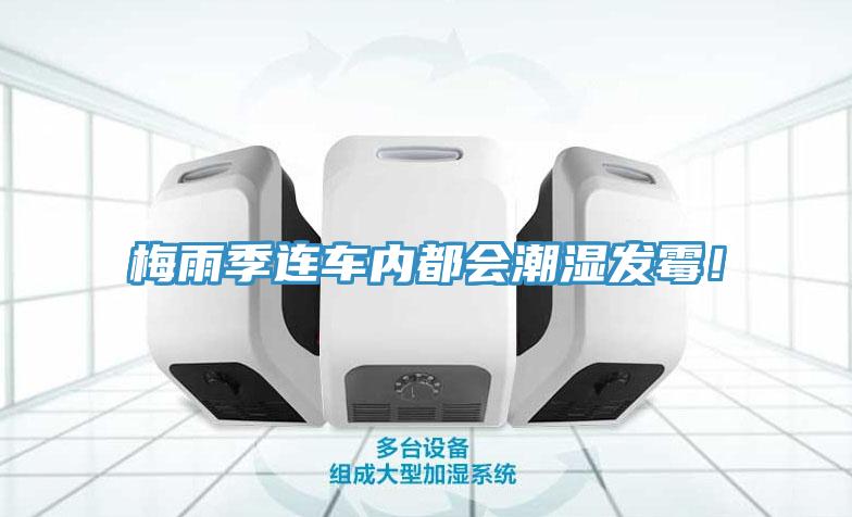 梅雨季連車內(nèi)都會潮濕發(fā)霉！