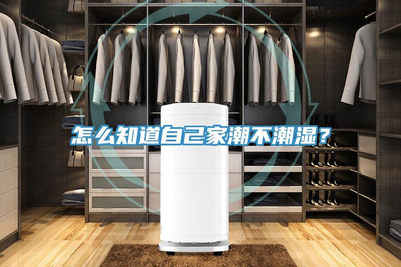 怎么知道自己家潮不潮濕？