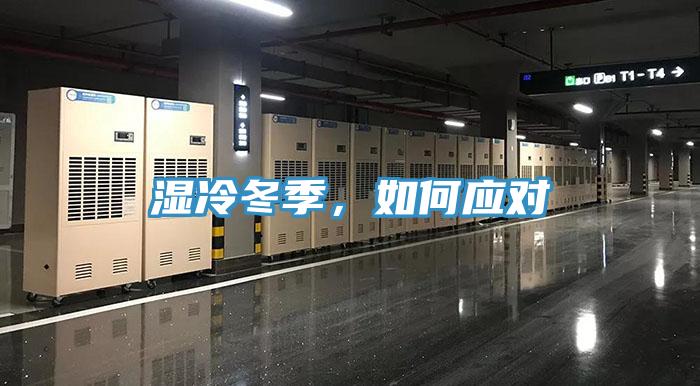 濕冷冬季，如何應(yīng)對(duì)