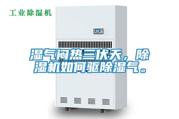 濕氣悶熱三伏天，除濕機如何驅除濕氣。