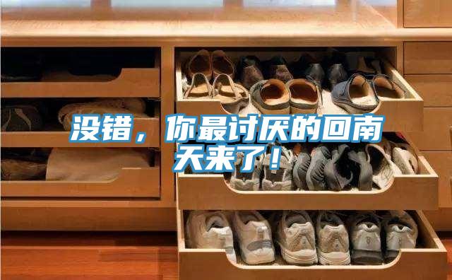 沒錯，你最討厭的回南天來了！