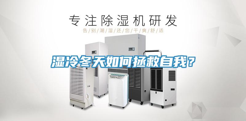 濕冷冬天如何拯救自我？