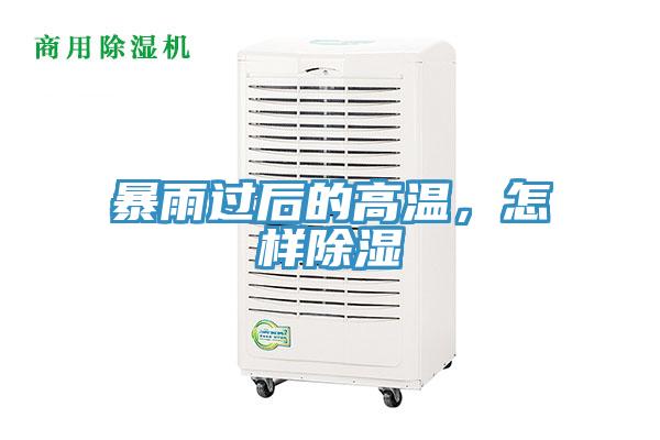 暴雨過后的高溫，怎樣除濕