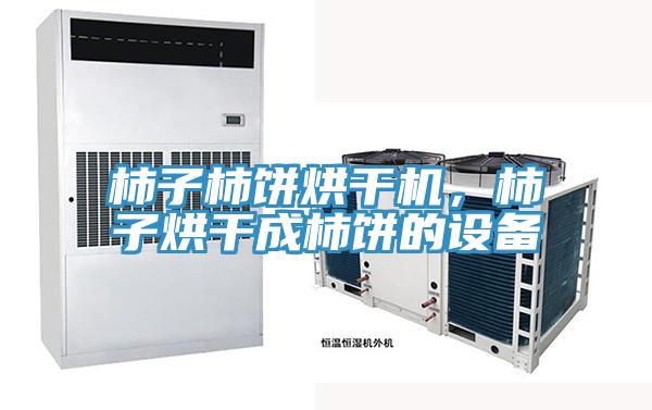 柿子柿餅烘干機(jī)，柿子烘干成柿餅的設(shè)備