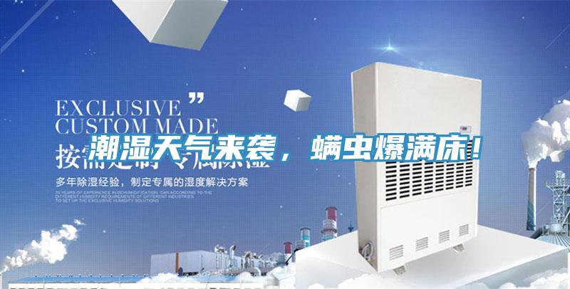 潮濕天氣來襲，螨蟲爆滿床！