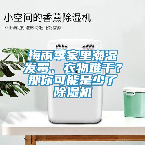 梅雨季家里潮濕發(fā)霉、衣物難干？那你可能是少了除濕機