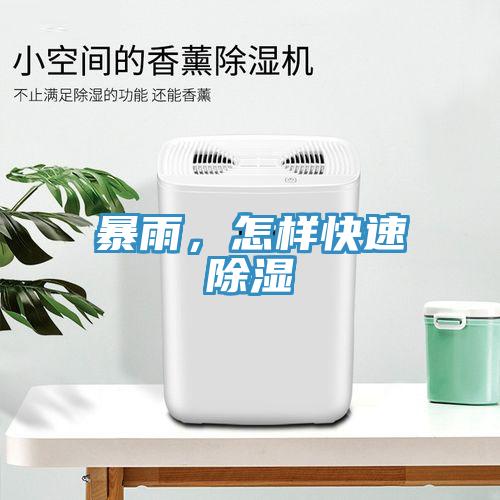 暴雨，怎樣快速除濕