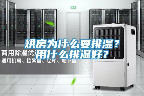 烘房為什么要排濕？用什么排濕好？
