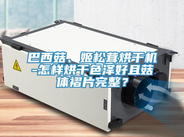巴西菇、姬松茸烘干機(jī)-怎樣烘干色澤好且菇體褶片完整？