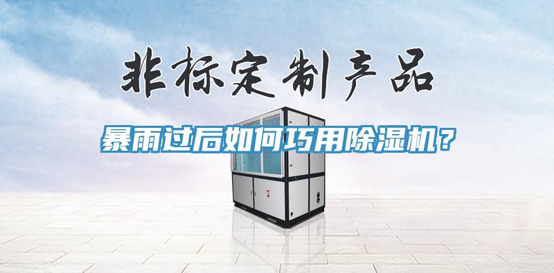 暴雨過后如何巧用除濕機？