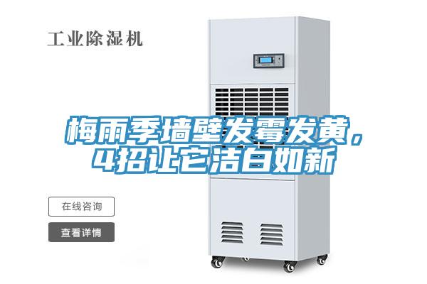 梅雨季墻壁發(fā)霉發(fā)黃，4招讓它潔白如新