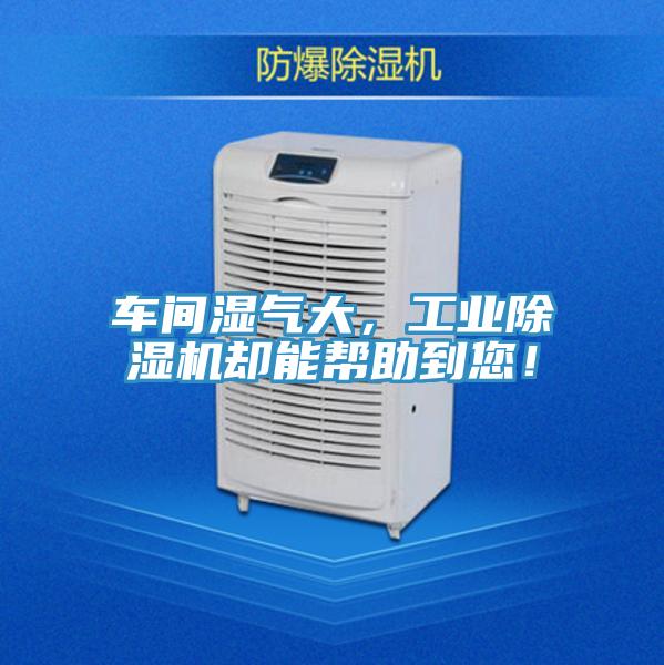 車間濕氣大，工業(yè)除濕機(jī)卻能幫助到您！