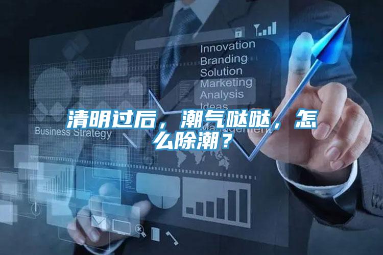 清明過后，潮氣噠噠，怎么除潮？