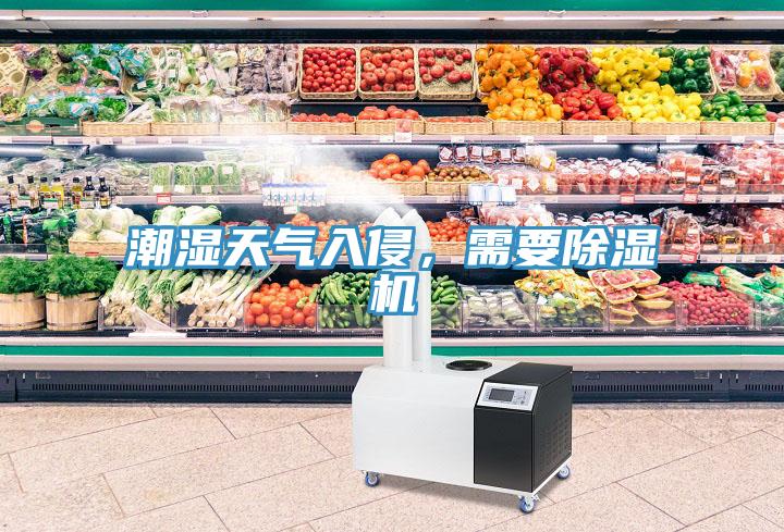 潮濕天氣入侵，需要除濕機(jī)