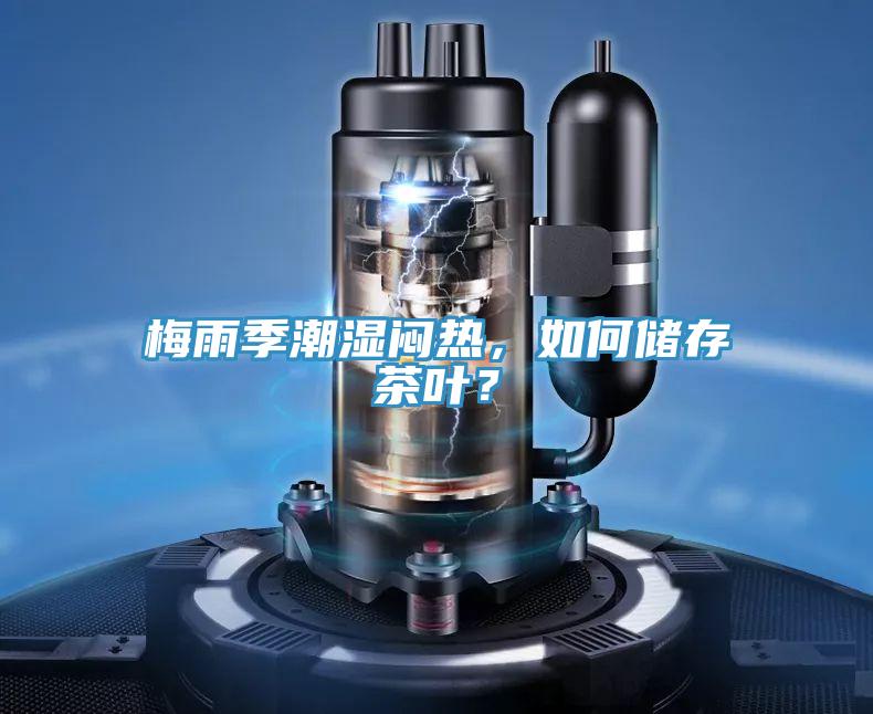 梅雨季潮濕悶熱，如何儲存茶葉？