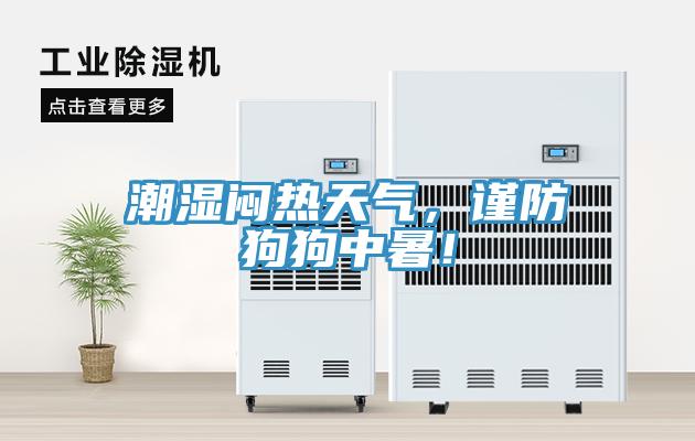 潮濕悶熱天氣，謹防狗狗中暑！