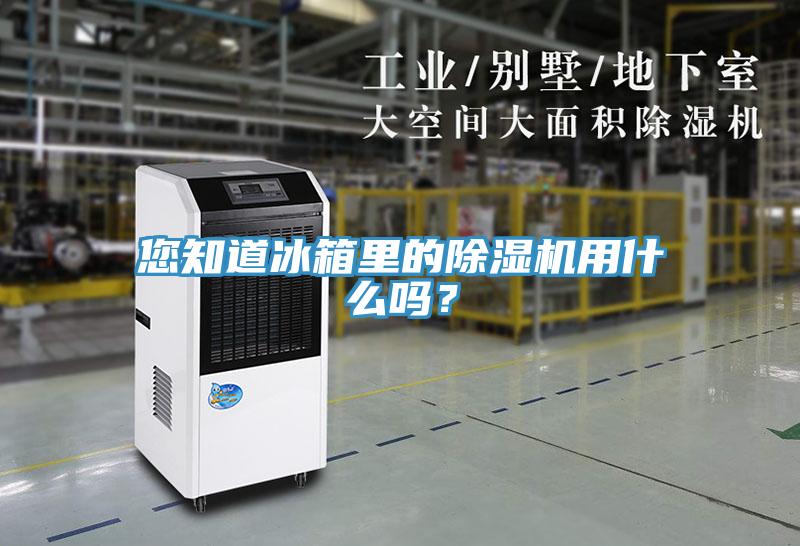 您知道冰箱里的除濕機(jī)用什么嗎？