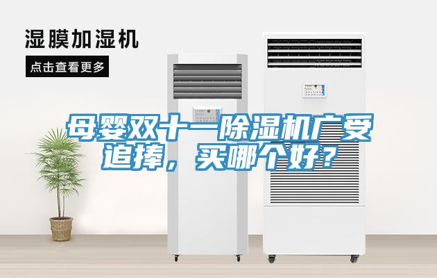 母嬰雙十一除濕機(jī)廣受追捧，買哪個(gè)好？