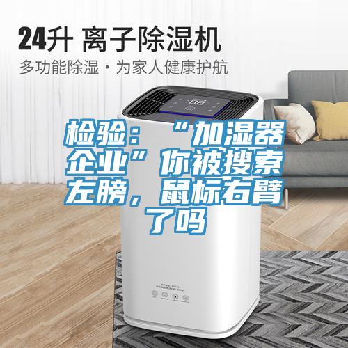 檢驗(yàn)：“加濕器企業(yè)”你被搜索左膀，鼠標(biāo)右臂了嗎