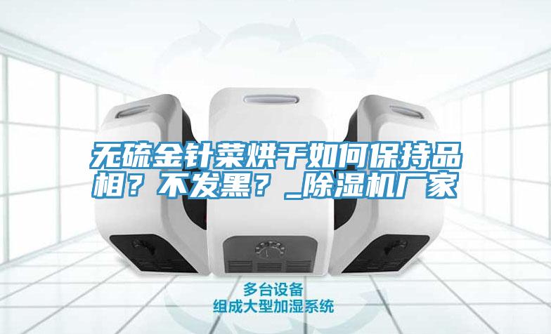 無硫金針菜烘干如何保持品相？不發(fā)黑？_除濕機(jī)廠家