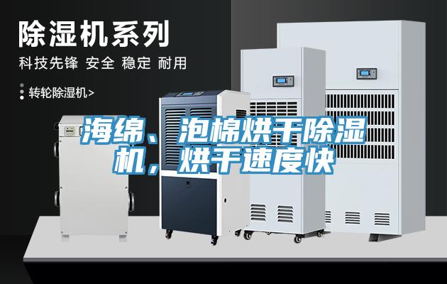 海綿、泡棉烘干除濕機(jī)，烘干速度快