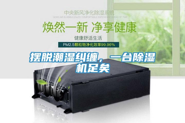 擺脫潮濕糾纏，一臺除濕機(jī)足矣