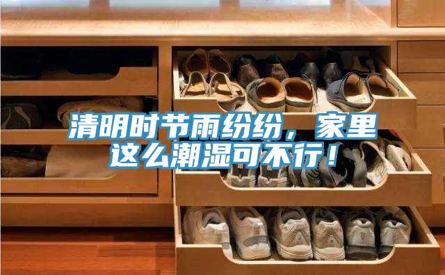 清明時節(jié)雨紛紛，家里這么潮濕可不行！